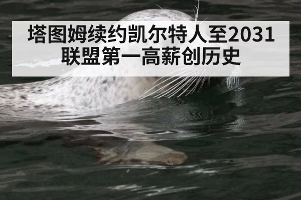 塔图姆续约凯尔特人至2031 联盟第一高薪创历史